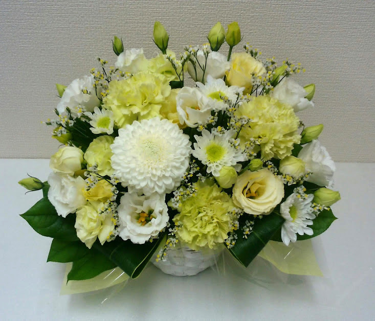 プランツショップ Kurata 埼玉県川口市 川口元郷 の花屋 園芸店 ボタニーク