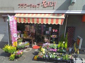 和泉府中駅の花屋 園芸店を探す ボタニーク