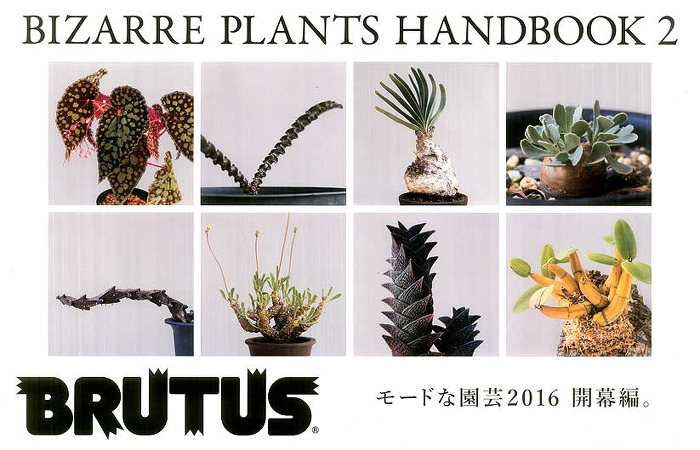 ブックレビュー『BRUTUS No. 821 まだまだ珍奇植物』