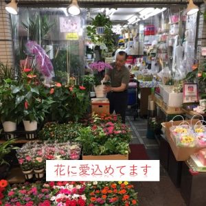 城東区の花屋 園芸店を探す ボタニーク