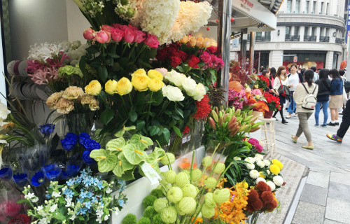Ginza Flower 銀座フラワー4丁目 東京都中央区 銀座 の花屋 園芸店 ボタニーク
