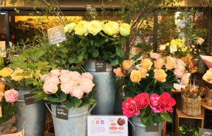 町田市の花屋 園芸店を探す ボタニーク
