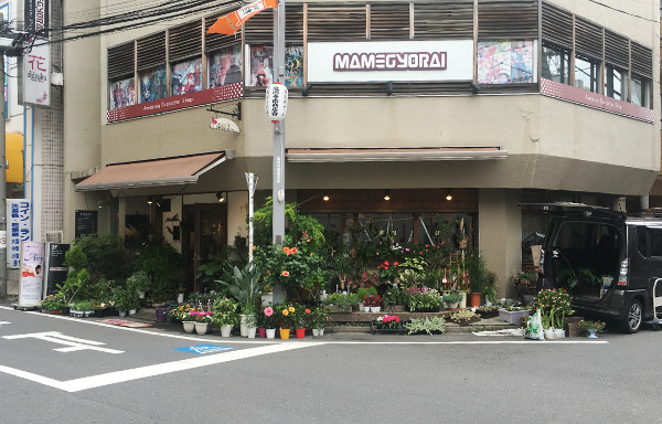高円寺駅より徒歩約3分、古着屋の多い高円寺南口エリア。2階はフィギュアなどを販売する豆魚雷。