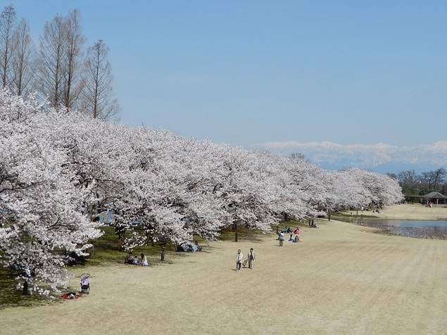 富山県中央植物園のイベント