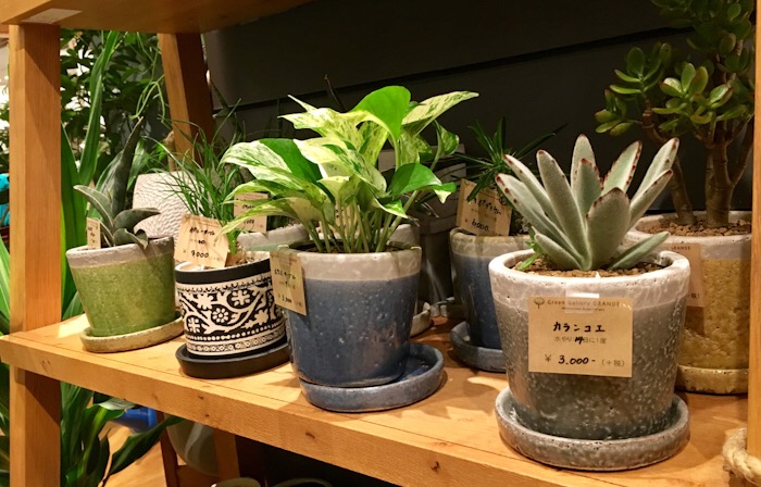 ACTUS アクタス 豊洲店