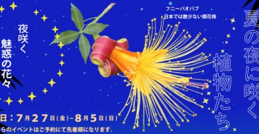 夜間開館「夏の夜に咲く植物たち」