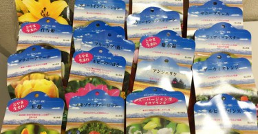 富山産 チューリップ福袋2017