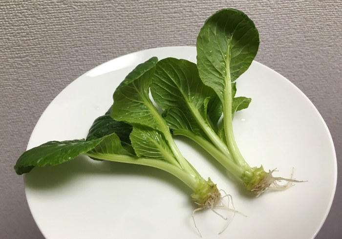 リボーンベジタブル 小松菜