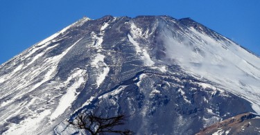 温暖化の影響？富士山頂の周辺で新たな植物の生育が確認される