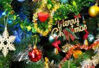 【2018年クリスマス特集】温室や植物園で開催されるイルミネーション・コンサートイベント情報