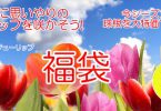 富山県花卉球根農業協同組合 福袋