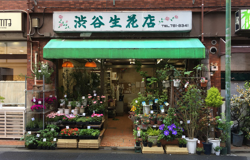 武蔵小山 渋谷生花店