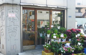 東京メトロ 日比谷線の花屋 園芸店を探す ボタニーク