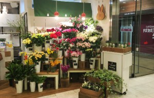 Flower Miffy サンシャインシティアルパ店