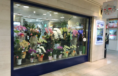 新着池袋 東武 花屋 すべての美しい花の画像