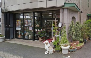 成田市の花屋 園芸店を探す ボタニーク