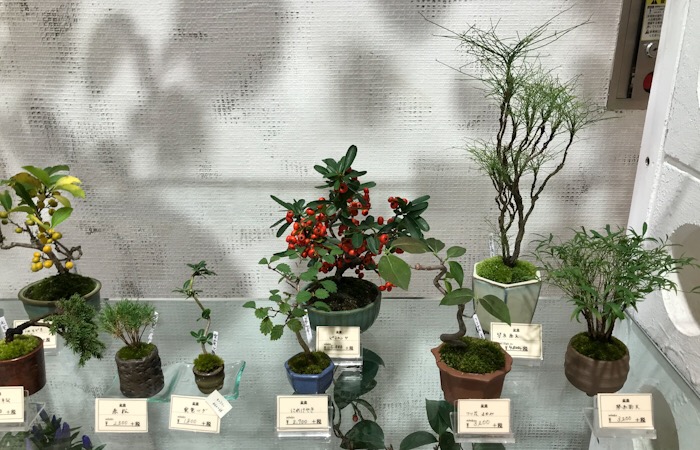 Plants・Plants 丸の内店