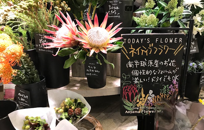 青山フラワーマーケット 横浜ジョイナス 1f店 神奈川県横浜市西区 横浜 の花屋 園芸店 ボタニーク